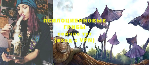 ECSTASY Вязники