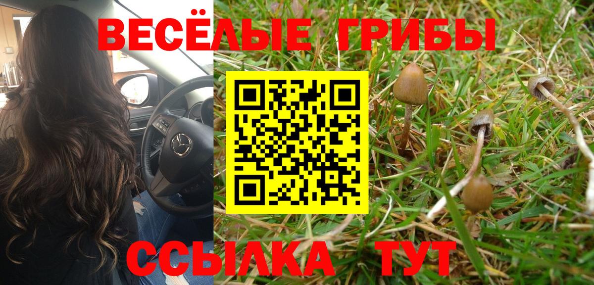 Псилоцибиновые грибы Psilocybe  Вход с VPN  Нефтеюганск  Галлюциногенные грибы прущие грибы 