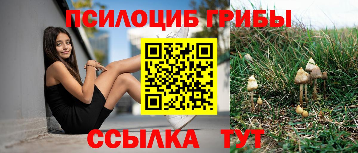 Нефтеюганск  Псилоцибиновые грибы мицелий  Галлюциногенные грибы мухоморы  Вход с VPN 