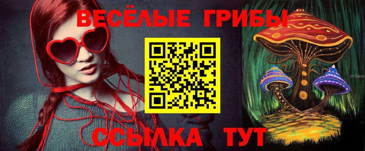 Галлюциногенные грибы Psilocybine cubensis Нефтеюганск