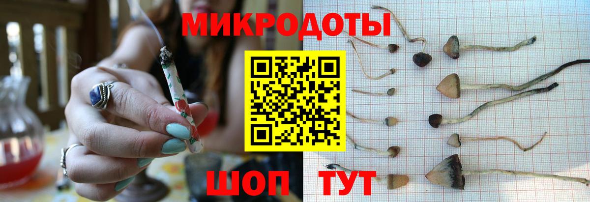 Псилоцибиновые грибы мухоморы Нефтеюганск